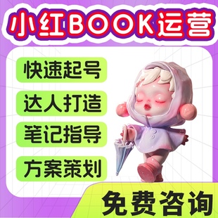 小红xhs书运营1v1指导策划打造账号热度笔记剪辑全包起号企业个人