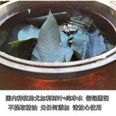 铜锅蒸馏尤加利纯露250 500ml