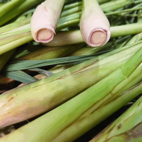 铜锅蒸馏柠檬香茅纯露250毫升装