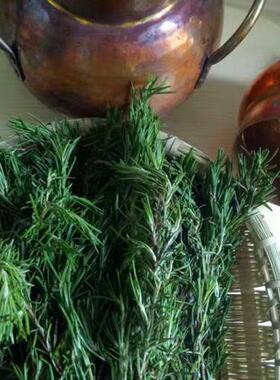 马鞭草酮迷迭香纯露500ml 不分离精油 疏通毛孔