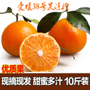 正宗四川爱媛38号果冻橙大果10斤装 超甜现摘现发多汁手剥孕妇水果