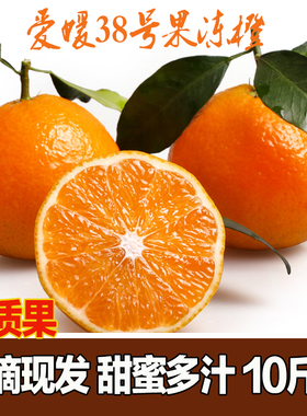 正宗四川爱媛38号果冻橙大果10斤装超甜现摘现发多汁手剥孕妇水果