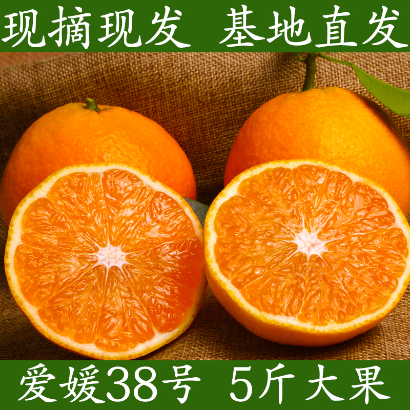 正宗四川爱媛38号果冻橙5/8斤现摘现发带叶采孕妇水果手剥橙现摘