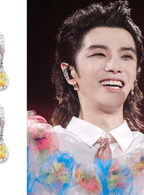 华晨宇同款镶嵌满锆石钻黄色锆石水滴耳环圈轻奢花花武汉23演唱会