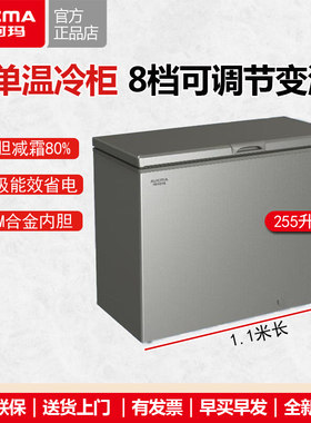 澳柯玛255升冷柜减霜一级冷冻柜