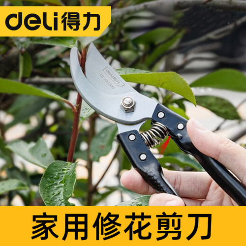 果树枝剪花家果树枝剪花家