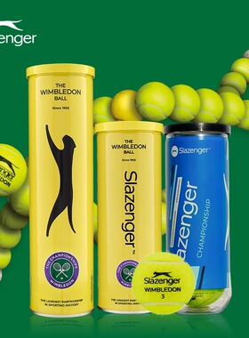 Slazenger史莱辛格网球温网比赛用球高弹单人练习初学者训练球3只