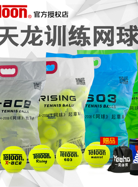 天龙网球训练球袋装801复活rising603发球机用球成人多球练习球