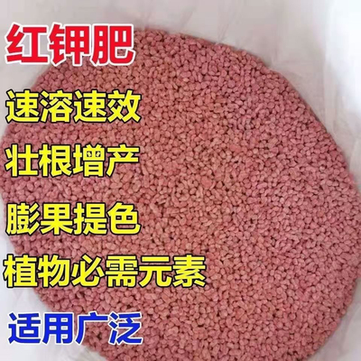 钾肥俄罗斯进口高钾高效肥料农用花卉果树蔬菜通用速溶肥料