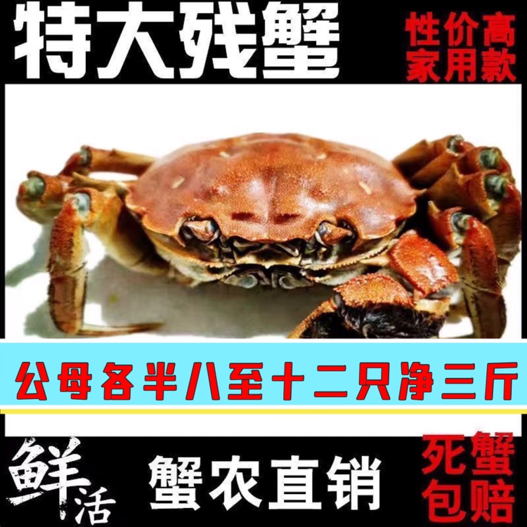 鲜活兴化红膏大闸蟹顺丰包邮