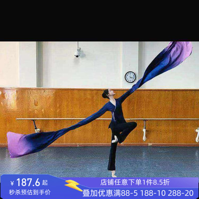 北舞同款身韵巡礼袖舞蹁跹水袖服装表演演出集训练功服翩袖甩袖舞
