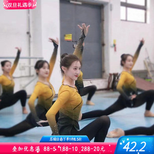 古典舞服装 舞蹈纱衣身韵练功服女飘逸上衣网纱仙气演出艺术艺考