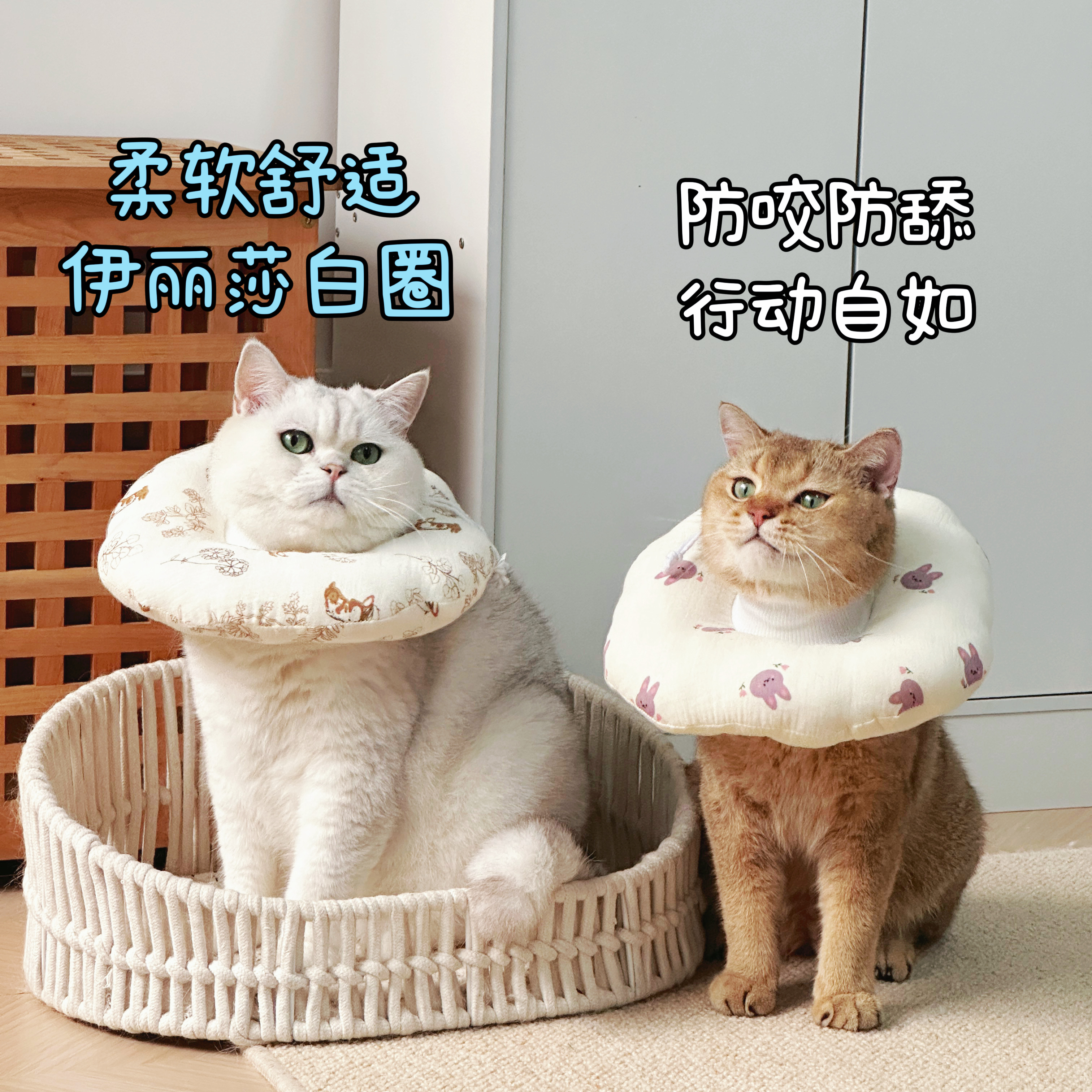 伊丽莎白圈猫咪脖套绝育软头套
