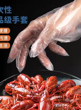 佳龙一次性手套加厚pe塑料薄膜餐饮美容美发家务食品厨房染发透明