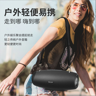 狂热者S67大功率广场舞蓝牙家庭K歌音箱无线双麦克风话筒KTV音响