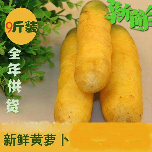 26年新货全年供货山西运城手抓饭新鲜蔬菜黄胡萝卜3斤5斤9斤100斤