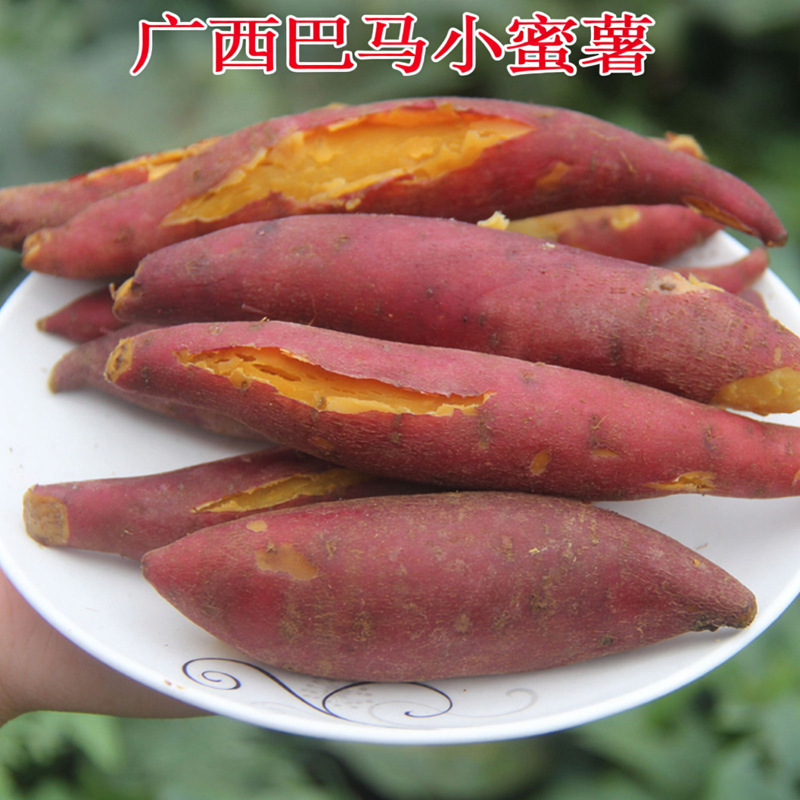 正宗广西巴马沙地小蜜薯新鲜新挖红心红薯当季地瓜番薯粉甜小香薯