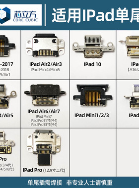 适用IPad 7 8 9 10 11 Mini 3 4 Air 2 5 6 Pro 11寸平板尾插接口