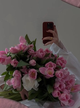 郁金香鲜花白色粉色郁金香鲜切家用鲜花插花手捧花束桌面装饰摆件