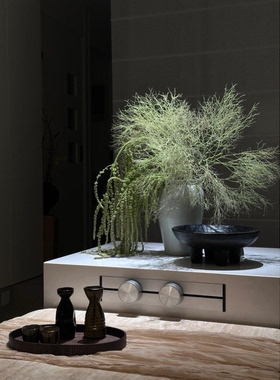 柔丝鲜花永生花瓶插花家居搭配观赏水养可做干花桌面装饰摆件