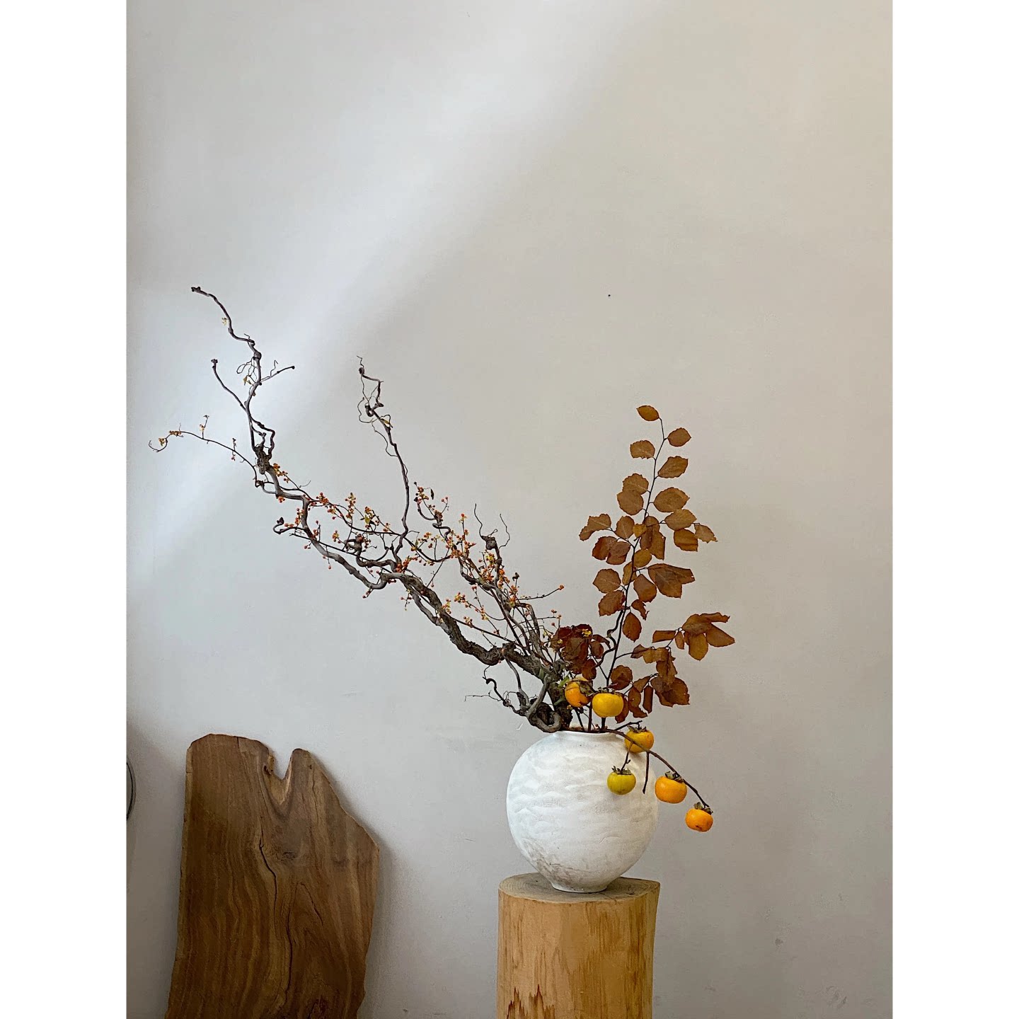 龙枣干枝树枝树干装饰天然弯曲龙爪插花侘寂禅意干花花束软装摆件