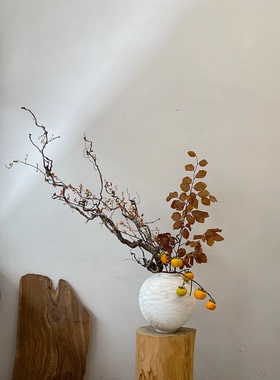 龙枣干枝树枝树干装饰天然弯曲龙爪插花侘寂禅意干花花束软装摆件