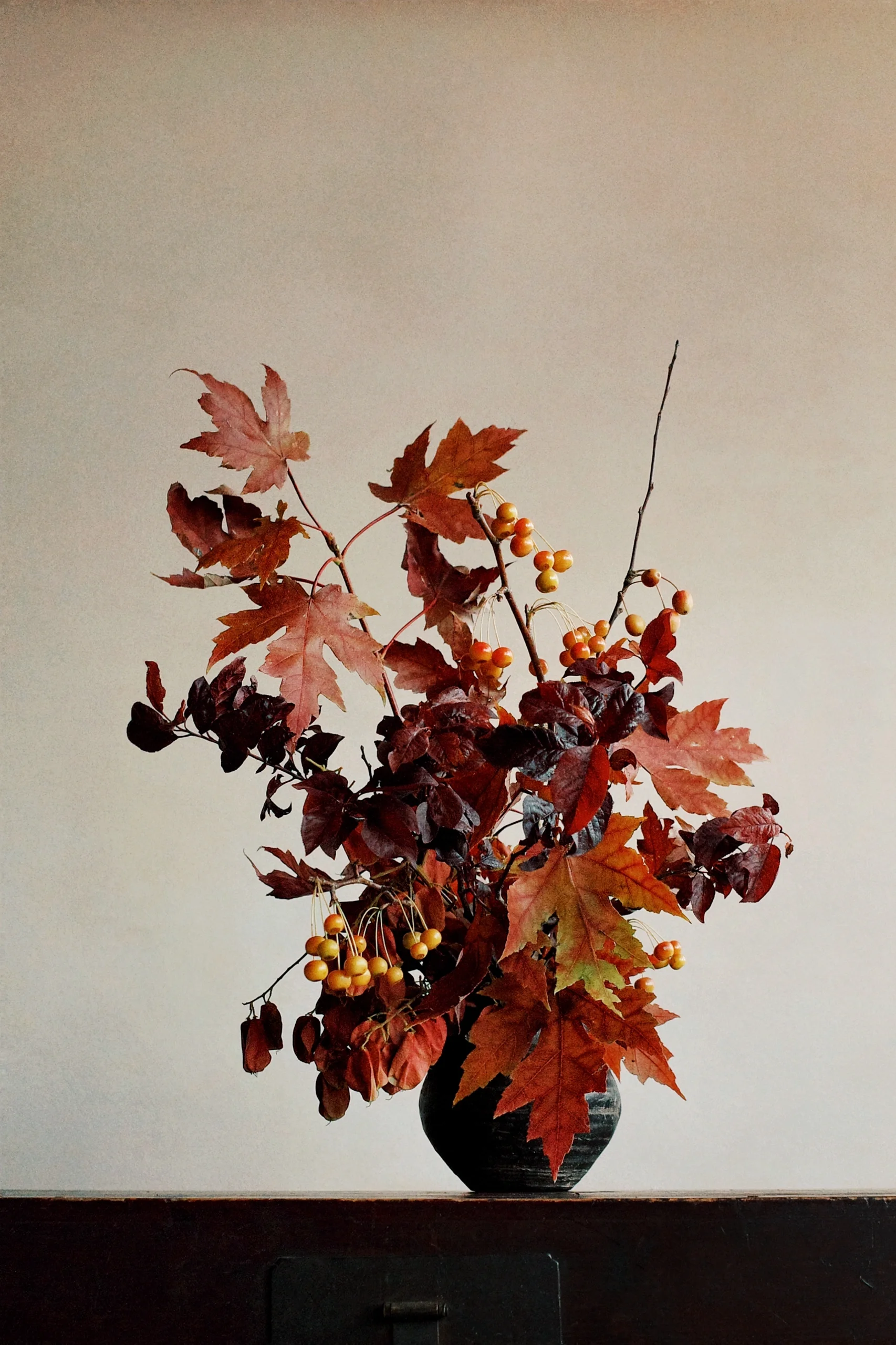 红色枫叶鲜切枝秋色家用鲜花花束插花室内水培瓶花婚庆花材摆件