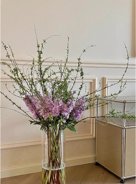 紫罗兰鲜花花束水养插花真花鲜花家用插花花期长室内客厅装饰摆件