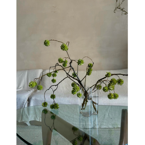 喜树果鲜切枝新鲜真花室内水培植物家用瓶插花家居软装展厅店铺