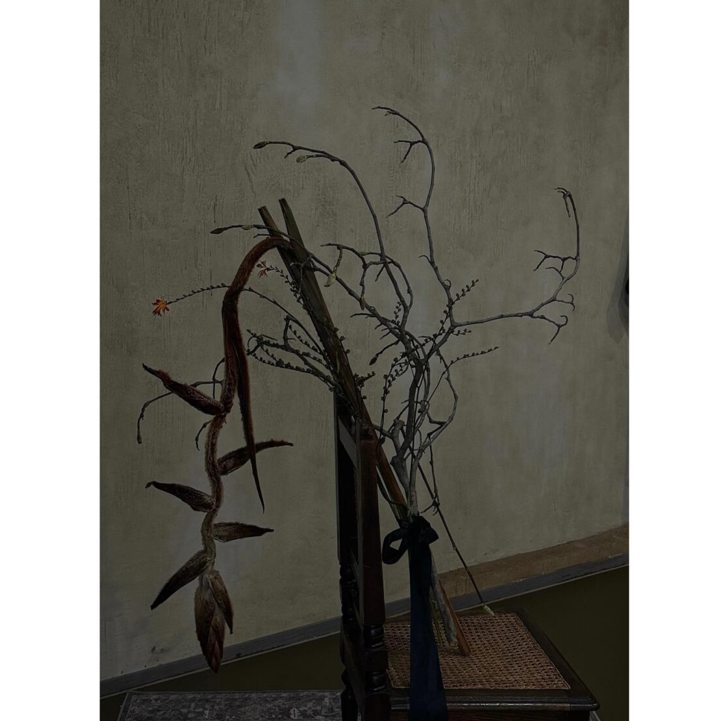毛吊鸟蝎尾蕉鸟丝绒吊鸟干花插花花期长高级感侘寂风中式装饰摆件