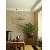 金龙柳鲜切野趣南天竺真花水培植物室内装 饰树枝家居软装 桌面摆件