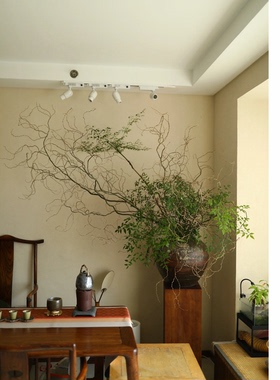 金龙柳鲜切野趣南天竺真花水培植物室内装饰树枝家居软装桌面摆件