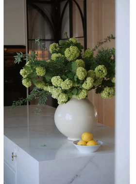 欧洲木绣球鲜花花束室内水培植物家用插花鲜切枝瓶插花桌面装饰