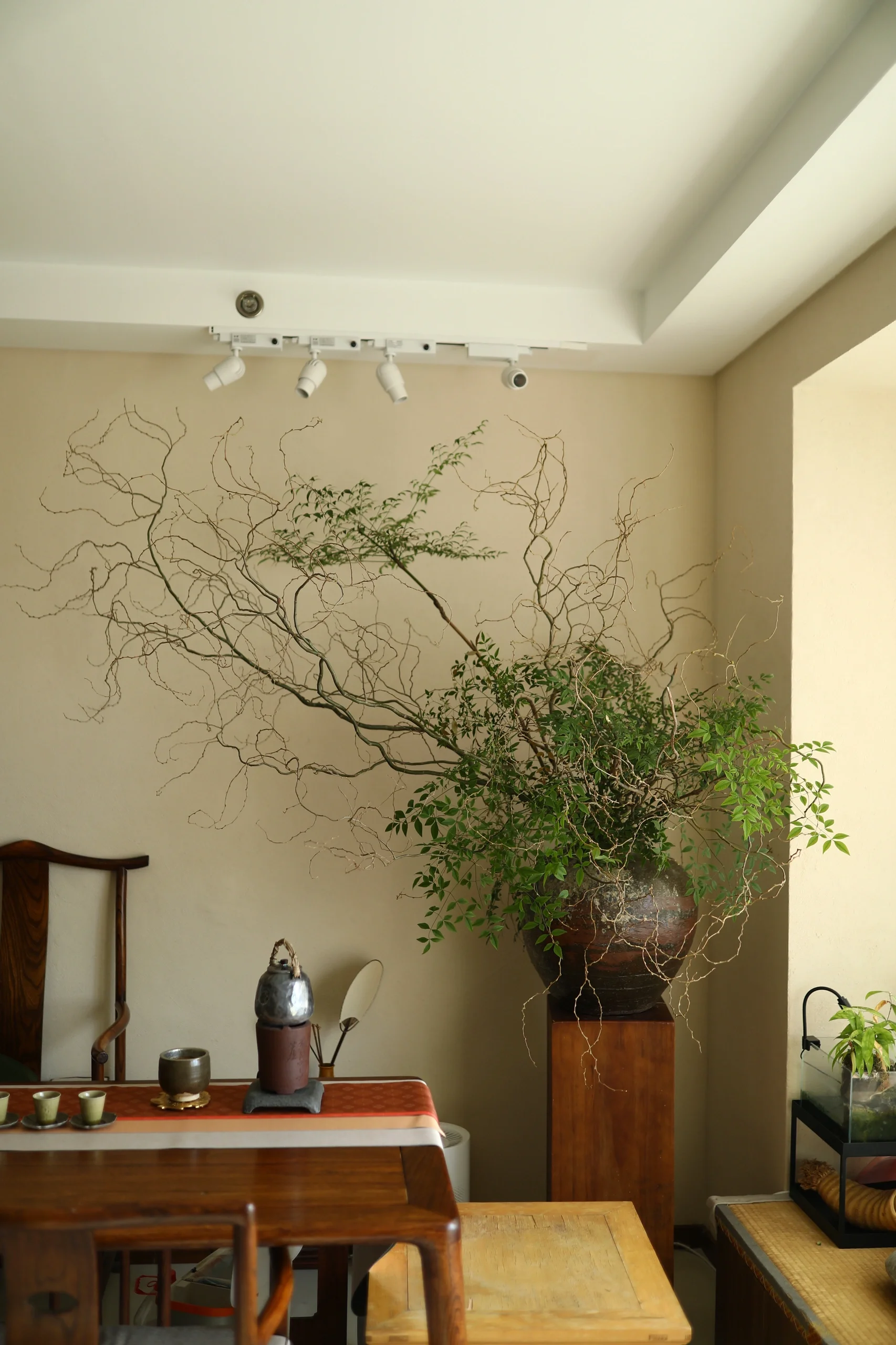 龙柳鲜切野趣南天竺真花水培植物室内装饰树枝家居软装装饰摆件