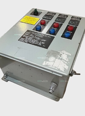 Watlow W71907A3A211 Industrial Control Panel