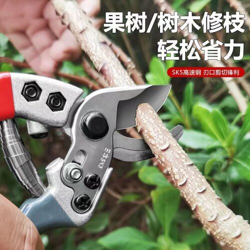 加厚sk5果树修剪刀园林修剪树枝剪子省力园艺修花枝花艺剪刀