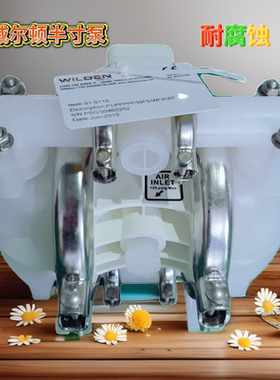 美国威尔顿WILDEN气动隔膜泵P1/PPPPP/TNU/TF/KTV进口隔膜泵