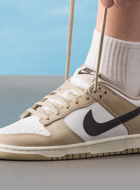 NIke耐克男鞋 Dunk Low 舒适百搭潮流时尚运动板鞋 IB3079-200