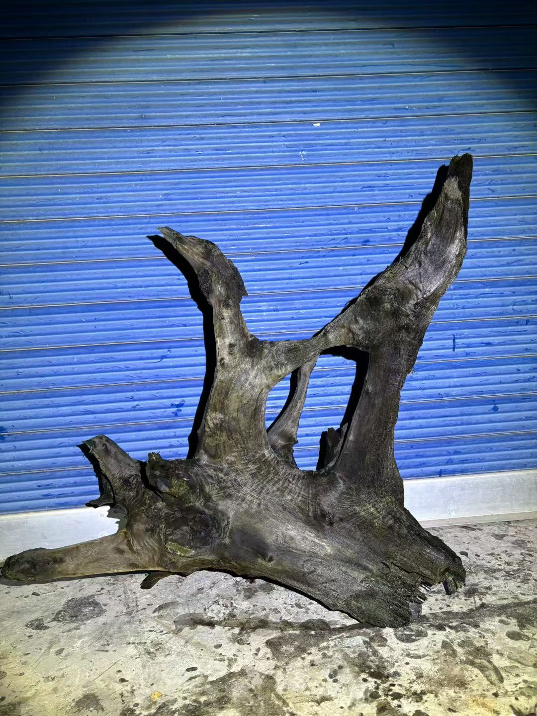 阴沉金丝楠乌木料小叶桢楠香味保真正品根艺雕刻摆件工艺品瘤花