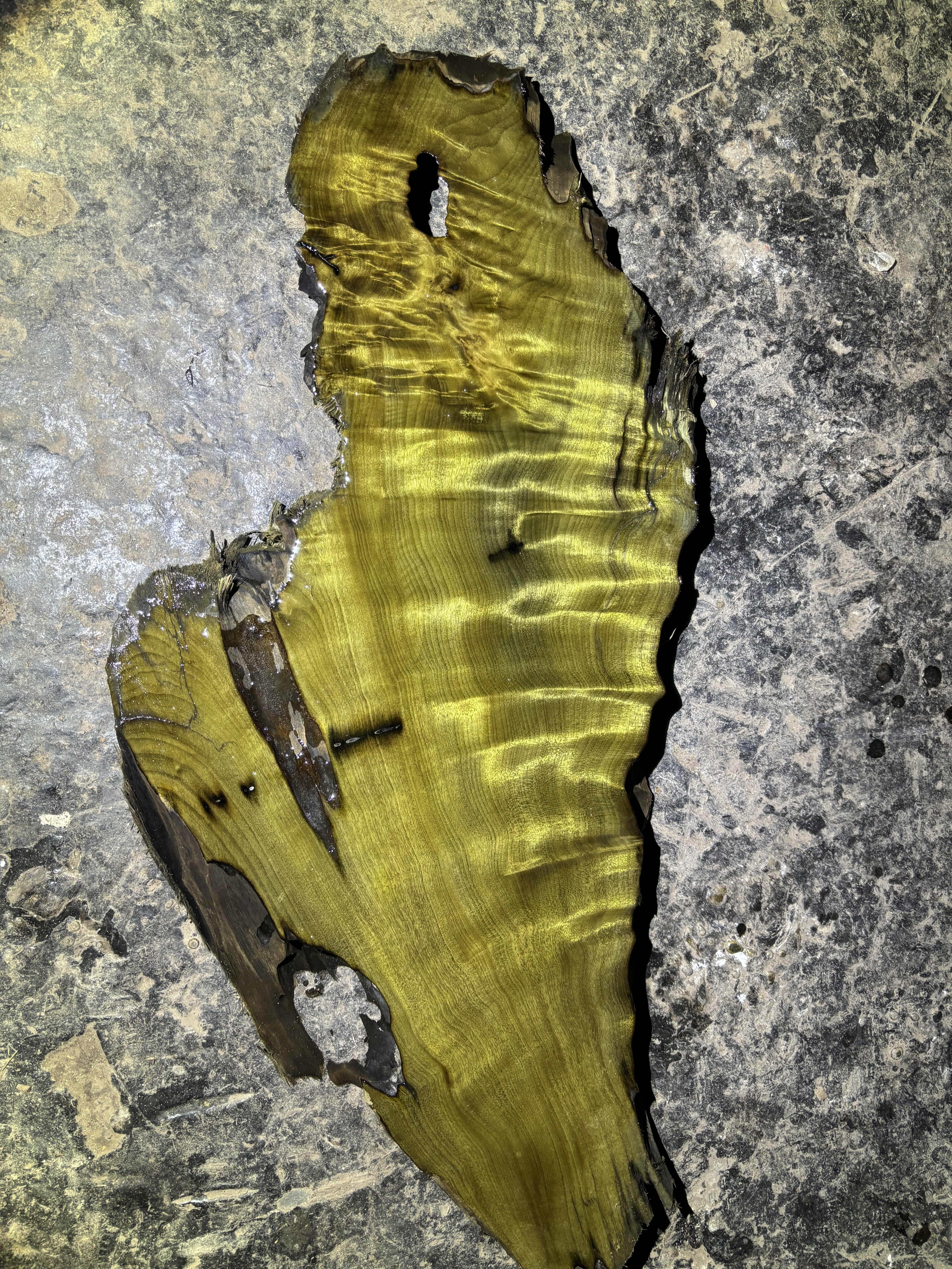 阴沉金丝楠乌木料小叶桢楠香味保真正品水波纹茶盘料镇尺料天然,家居饰品,木雕,淘宝优惠券,粉丝福利购,淘宝优惠卷