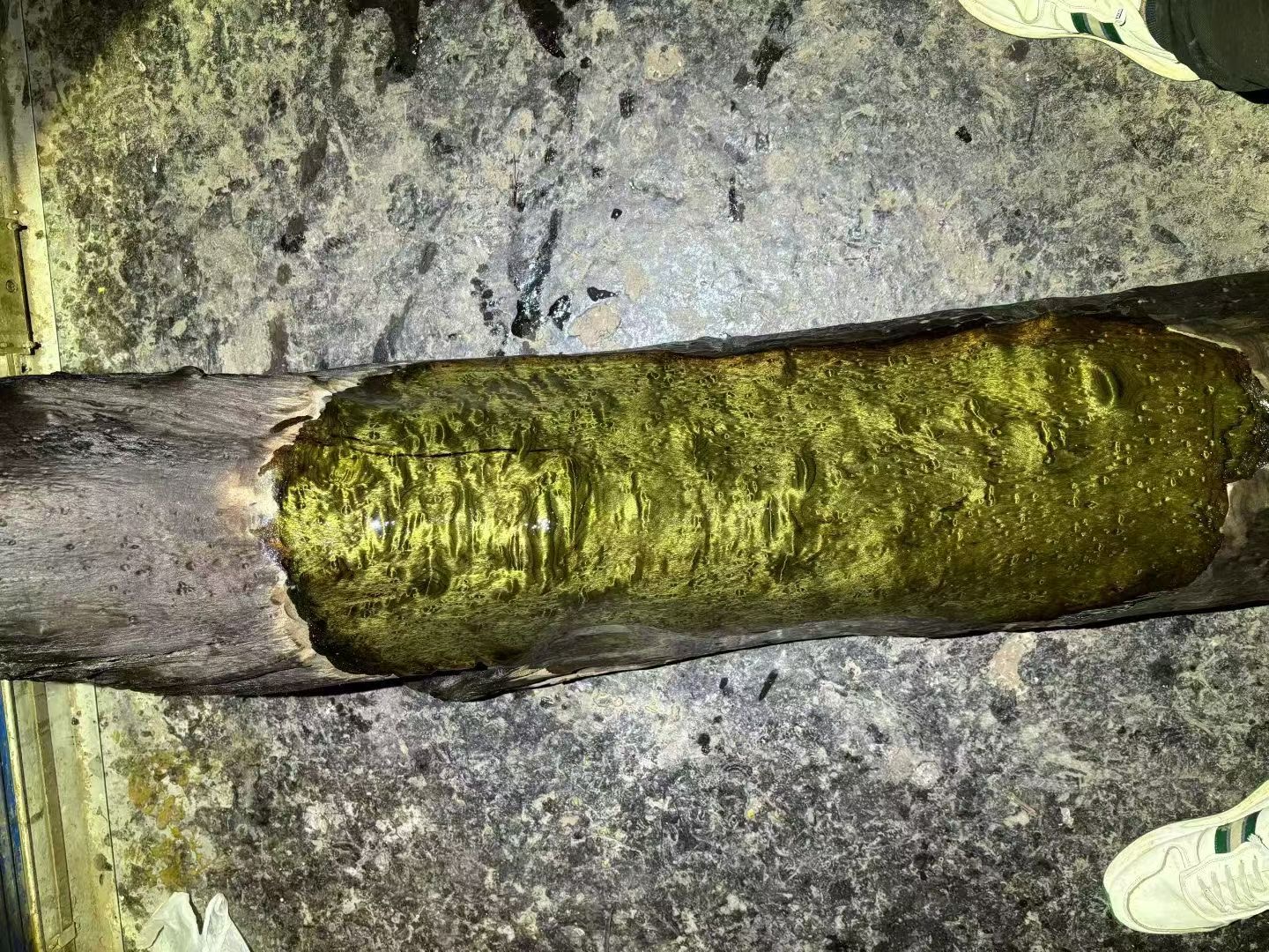 阴沉金丝楠乌木料小叶桢楠香味保真正品满花雕刻摆件收藏料楠木料