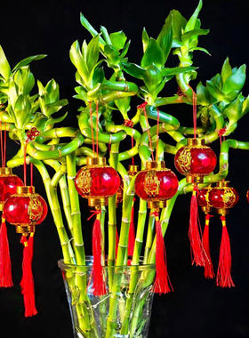 红色中国风精致小灯笼装饰挂件新年喜庆加密流苏福字水晶红灯笼