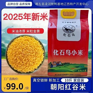 化石鸟2025年秋收新米辽宁朝阳特产优质小米10斤袋装