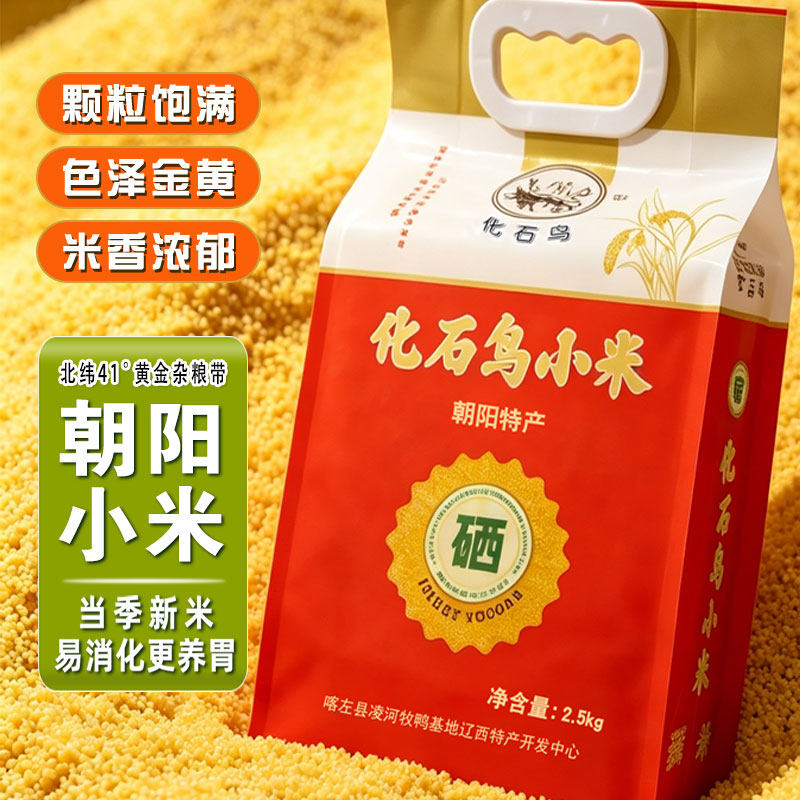 朝阳小米当季新米营黄米新米农家5斤粮食小米粥五谷杂粮煮粥 - 实物图