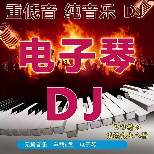 2026电子琴抖音流行重低纯音乐