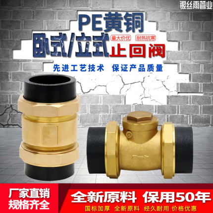 PE黄铜止回阀4/6分1寸卧式立式止阀内外丝水管道单向阀DN40/50/63