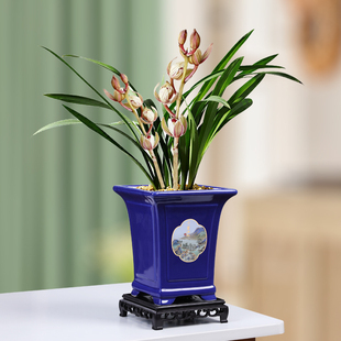 新中式水墨风陶瓷花盆客厅桌面文竹榕树盆栽君子兰多肉绿植造景盆