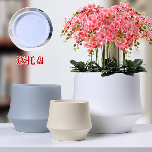 简约欧式陶瓷花盆亚光特大口径创意家用阳台蝴蝶兰多肉绿萝花盆 - 封面