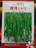 湘辣14号湖南湘研中熟高产辣味型长线椒种子苗子耐高温干旱 包邮