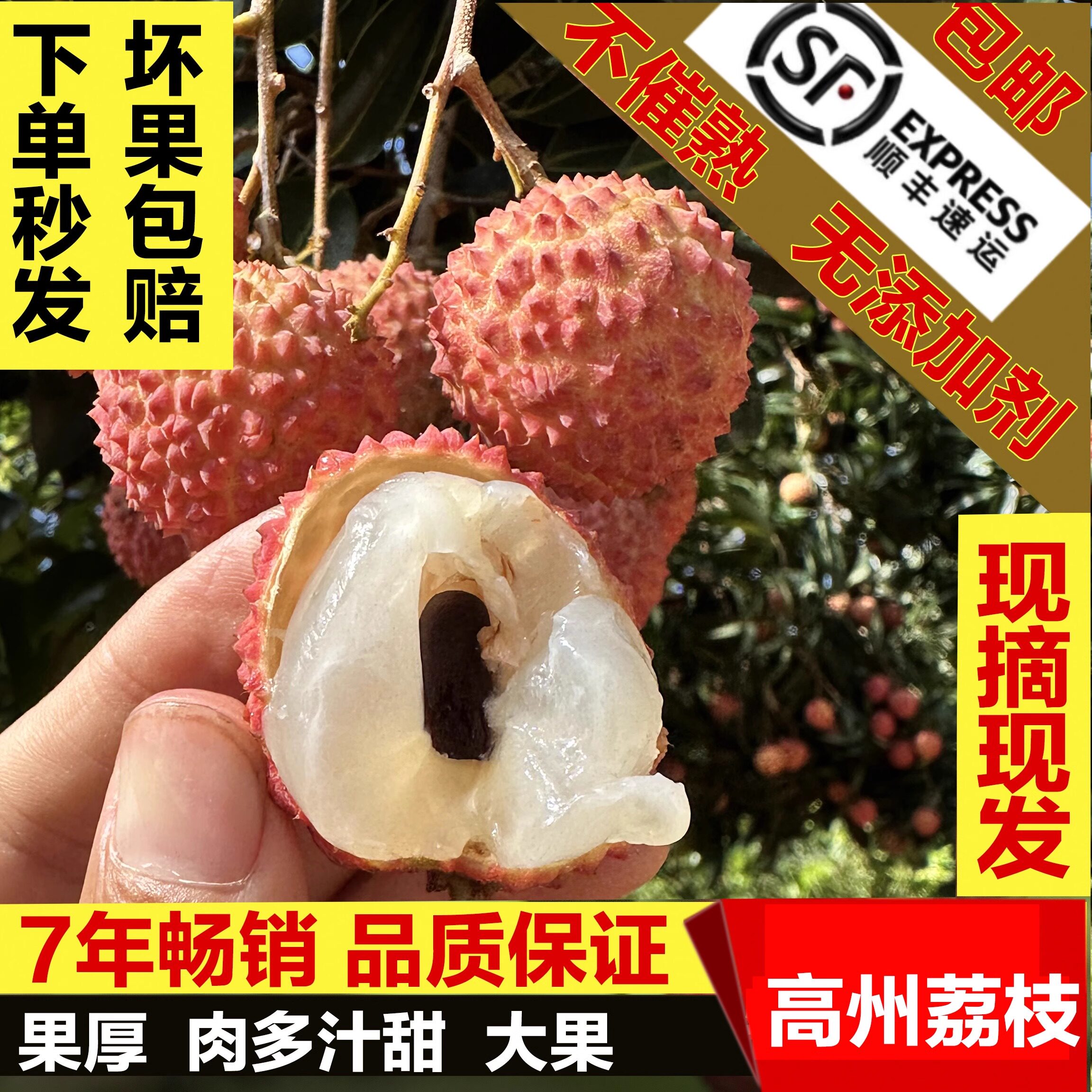 高州老树桂味荔枝5斤当季新鲜水大果现摘现发孕妇纯甜顺丰空运